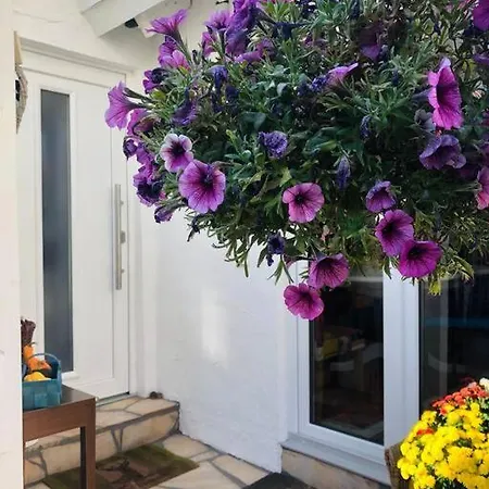 Traumhafte Maisonette-wohnung Im Schwarzwald דירה פרוידנשטאדט