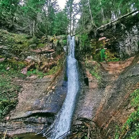 公寓 Mo Im Schwarzwald
