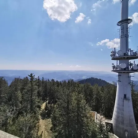 Traumhafte Maisonette-wohnung Im Schwarzwald דירה *