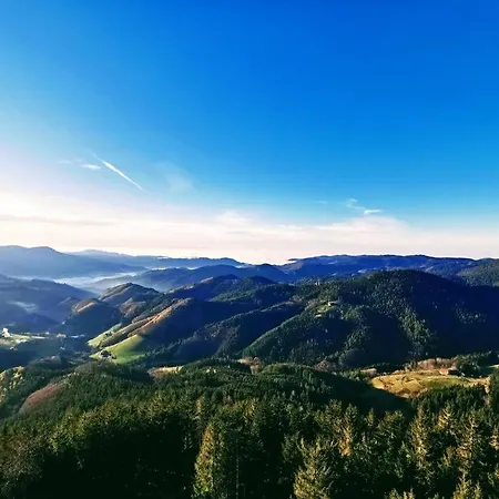 Traumhafte Maisonette-wohnung Im Schwarzwald Apartment