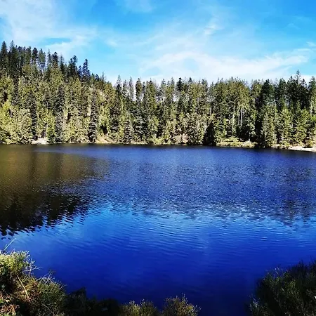 Traumhafte Maisonette-wohnung Im Schwarzwald *