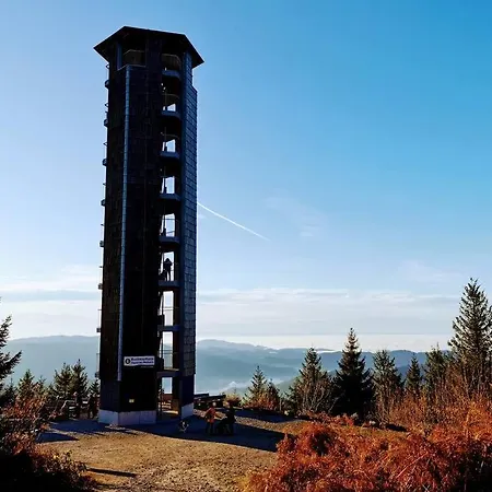 公寓 Mo Im Schwarzwald 弗罗伊登施塔特