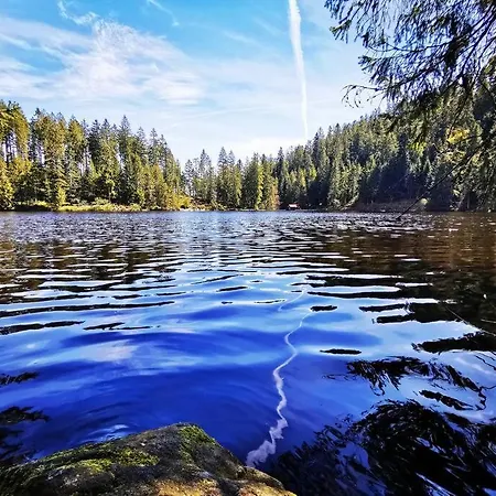 Mo Im Schwarzwald