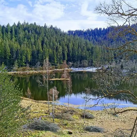 Traumhafte Maisonette-wohnung Im Schwarzwald