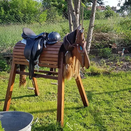 Traumhafte Maisonette-wohnung Im Schwarzwald פרוידנשטאדט
