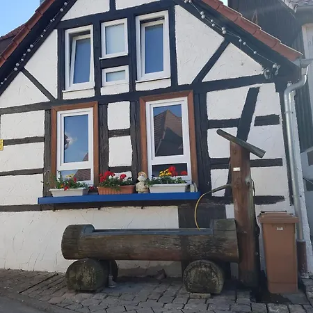 Mo Im Schwarzwald 弗罗伊登施塔特